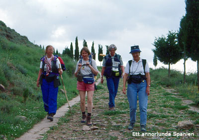 Dejamos Cirauqui (Navarra) parte de una calzada romana, todava en bastante buenas condiciones.